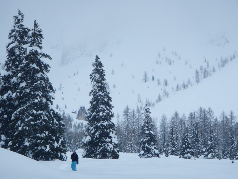 Durch den Wald zurück ins Skigebiet. Foto: Andreas Lesti