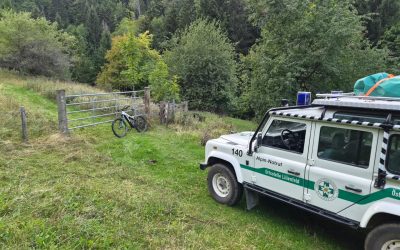 In Bergnot am Muckenkogel