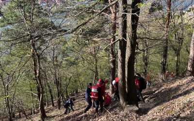 Sommerlicher Einsatz in St. Lorenz
