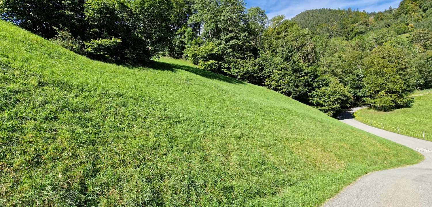 Tschapina, Bürserberg